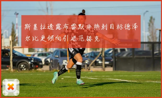 斯基拉透露布雷默非热刺目标德泽尔比更倾向引进范赫克
