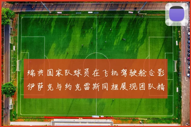 瑞典国家队球员在飞机驾驶舱合影伊萨克与约克雷斯同框展现团队精神