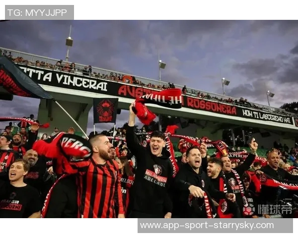 科克回应海外赛取消事件球员呼吁透明度我们持中立态度 科克回应海外赛取消事件球员呼吁透明度我们持中立态度